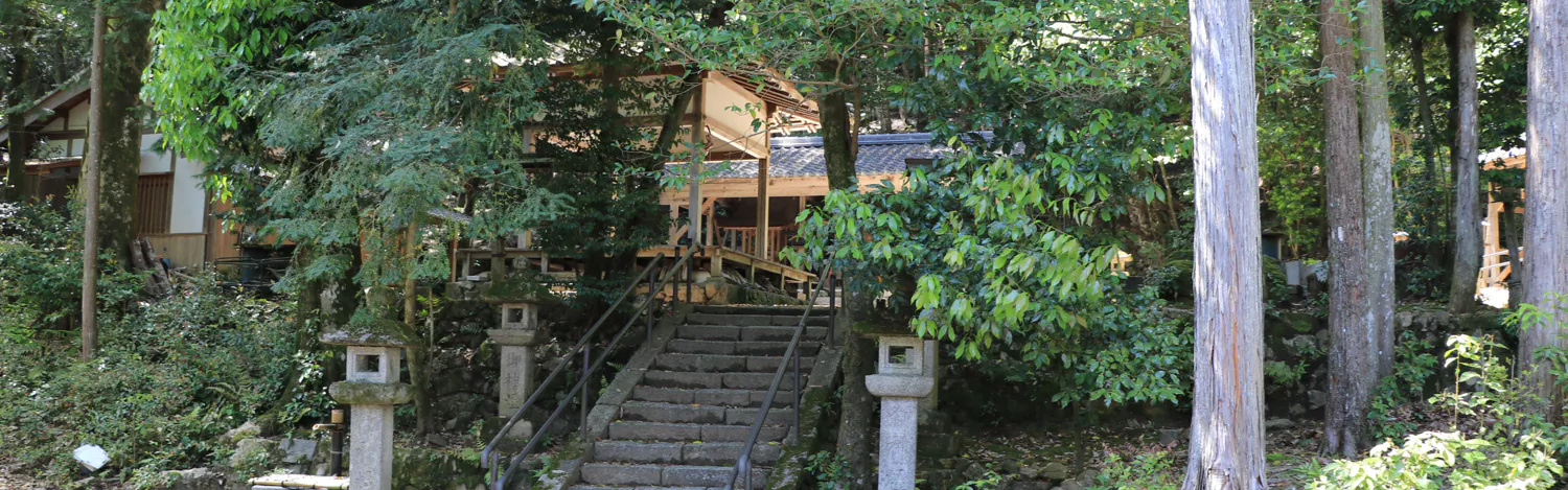 IMG412411901