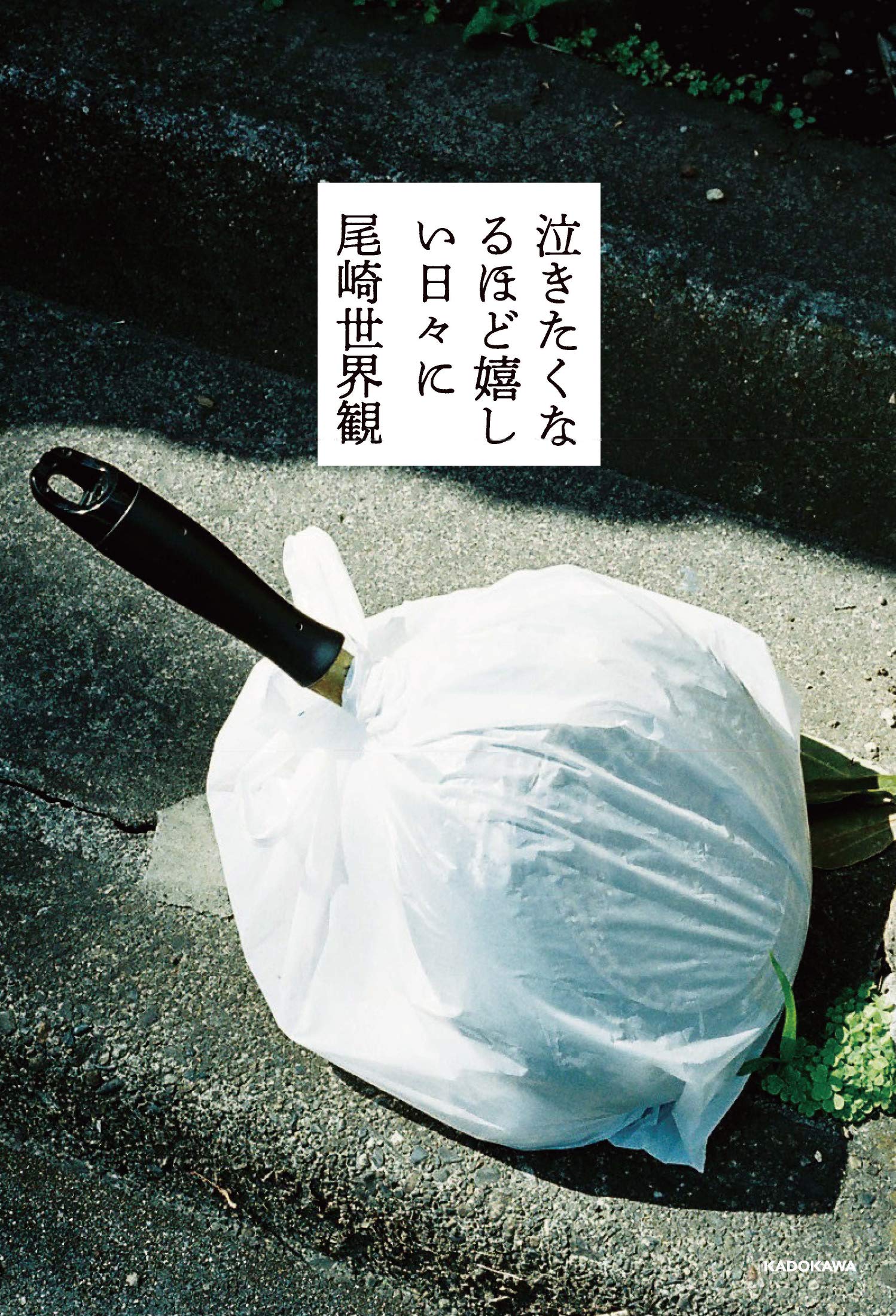 尾崎世界観（2019）『泣きたくなるほど嬉しい日々に』Kadokawa